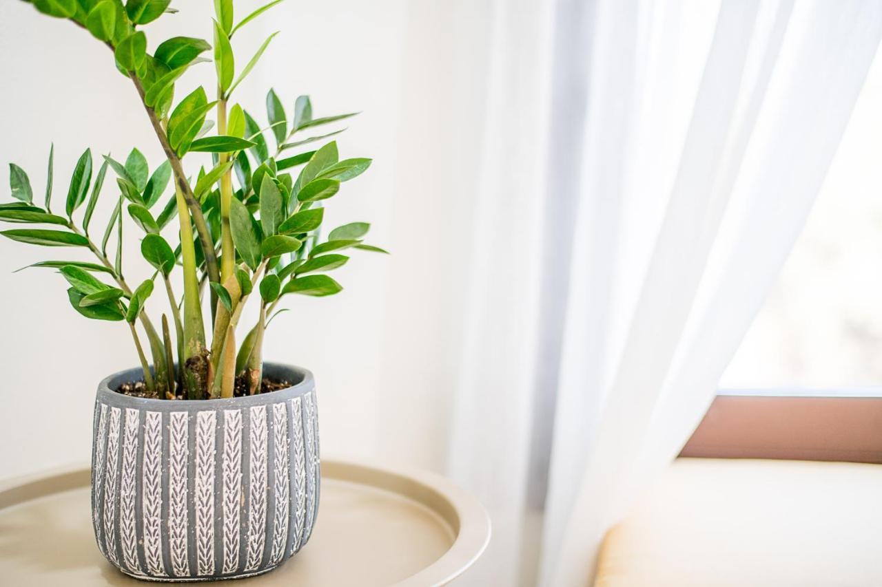 Kyma Luxury Studio Anevato Kültér fotó